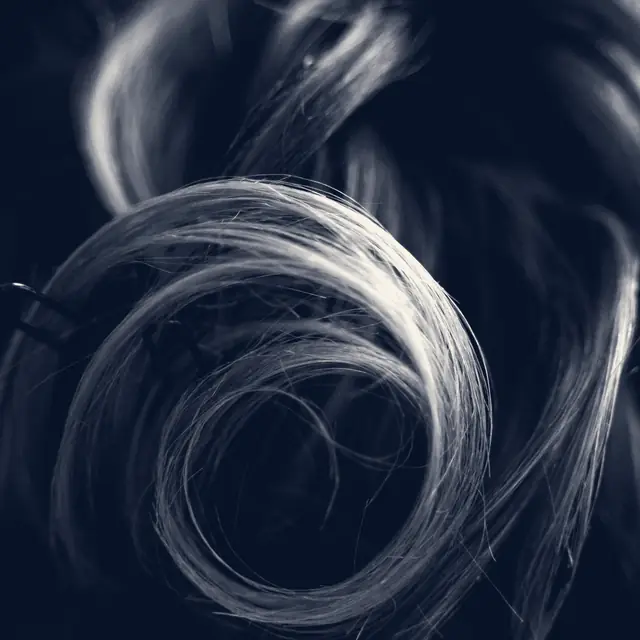 Glossy coiled hair, close up