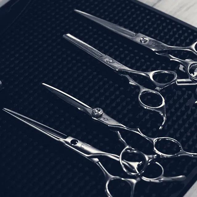Hair shears laid out in a neat row