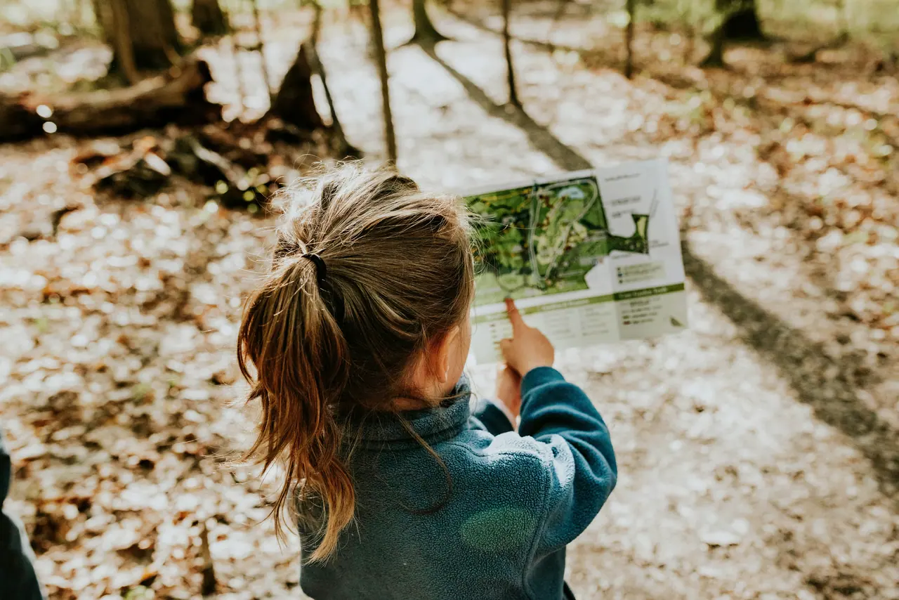 A child comparing a nature card with plants on a woodland path
